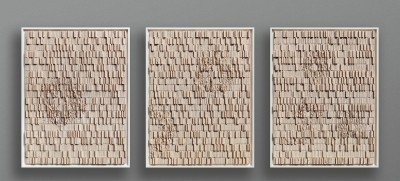 Target DNA 1,2 and 3 - Jacob Van Der Beugel